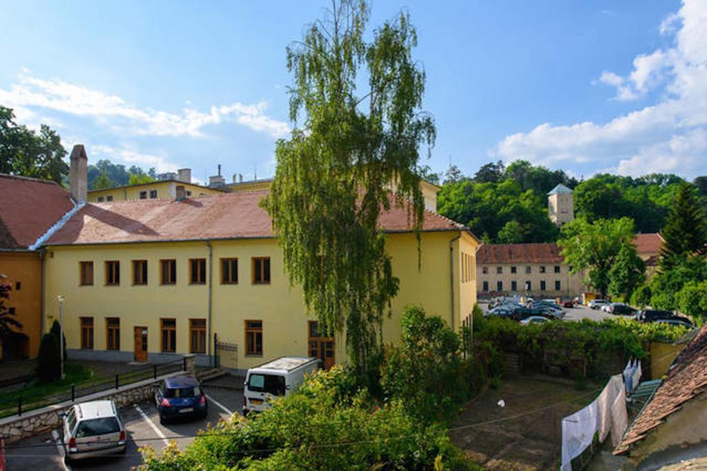 Apartament Transylvania *